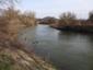 kršiak rybár (rybožravý) (16.4.2023)
