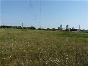 Pohľad na psiarkovú lúku v Želiezovciach