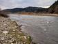 kršiak rybár (rybožravý) (12.11.2022)
