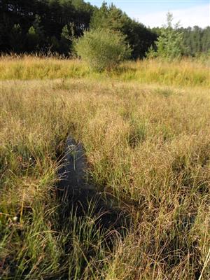 zapadny okraj lokality