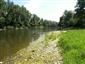 hrebenačka pásavá (4.7.2013)