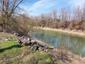 Kačica hvizdárka (14.4.2023)