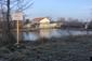 kršiak rybár (rybožravý) (19.12.2022)