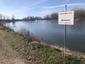 Potápka hnedá (malá) (18.3.2023)