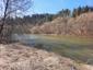 lyska čierna (19.3.2023)