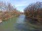 kršiak rybár (rybožravý) (15.4.2023)