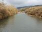 lyska čierna (13.11.2022)