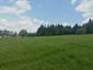 Kukučka obyčajná (jarabá) (12.6.2023)
