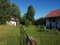 Sýkorka veľká ( bielolíca) (12.6.2023)