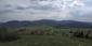 krkavec čierny (4.6.2023)