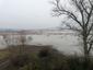 lyska čierna (11.11.2022)