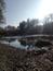 kršiak rybár (rybožravý) (16.4.2023)