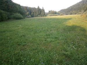 Náhradná lokalita – celkový pohľad