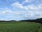 bocian čierny (25.6.2023)