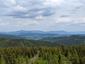 krkavec čierny (27.6.2023)