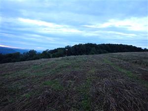 TML (Veliká)
