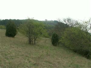 pohľad na TML_ErioCata_008 Višňové