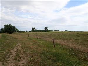 Strazne