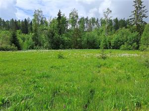 Pohľad na sev. okraj TML