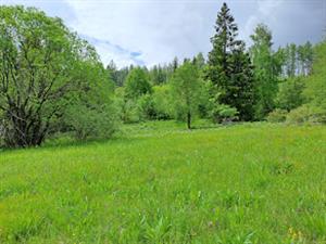 Pohľad na záp. okraj TML