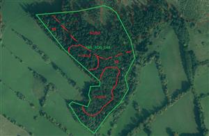 približný náčrt TML