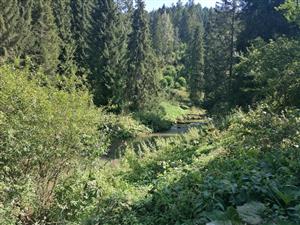 Biotop - začiatok úseku
