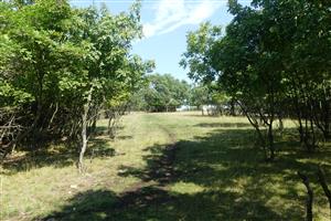 TML_StenEura_003_2