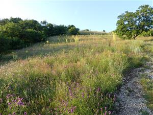TML_StenEura_009_1
