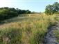 TML_StenEura_009_1