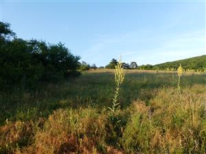 TML_StenEura_009_2