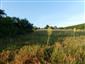 TML_StenEura_009_2