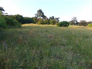 TML_StenEura_009_3