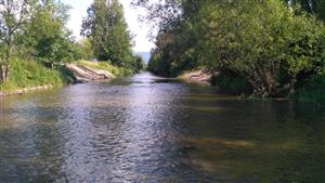 z dola