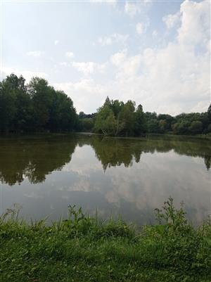 Markušovce_Korytno II. TML_CastFibe_061