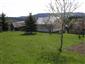 Nížinné a podhorské kosné lúky (29.4.2014)