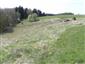 Nížinné a podhorské kosné lúky (29.4.2014)
