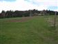 Nížinné a podhorské kosné lúky (28.4.2014)
