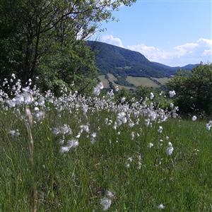 pohľad na lokalitu