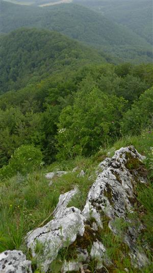 Časť TML s biotopom druhu Pulsatilla subslavica