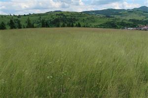 Pohľad na lokalitu