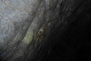 detail kolónie Rhinolophus euryale