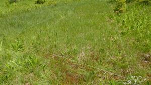 Pohľad na TMP - s biotopom Ra6