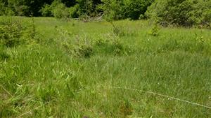 Pohľad z TMP na časť TML - aj s biotopom Ra6