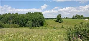 zvyšok slatiny v údolíčku (na fotke pred porastom briez, vľavo od plota)