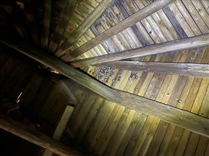 podkováre malé a netopiere brvité