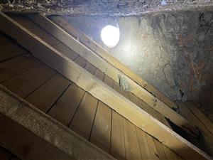 hniezdo lastovičiek