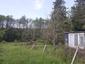 Mlynárka dlhochvostá (28.4.2023)