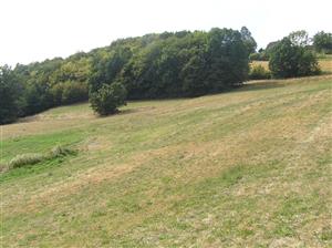 Takmer celá plocha TML je kosená