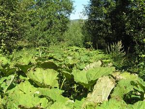 Pohľad na lokalitu
