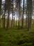 Mlynárka dlhochvostá (10.5.2023)